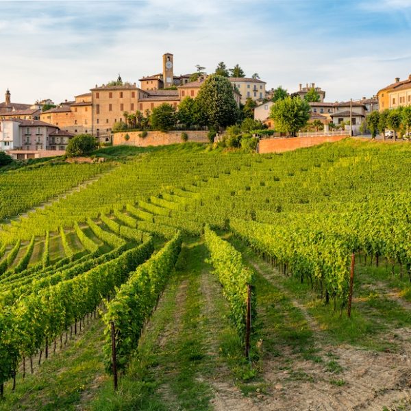 The beautiful village of Neive and its vineyards in the Langhe region of Piedmont, Italy.